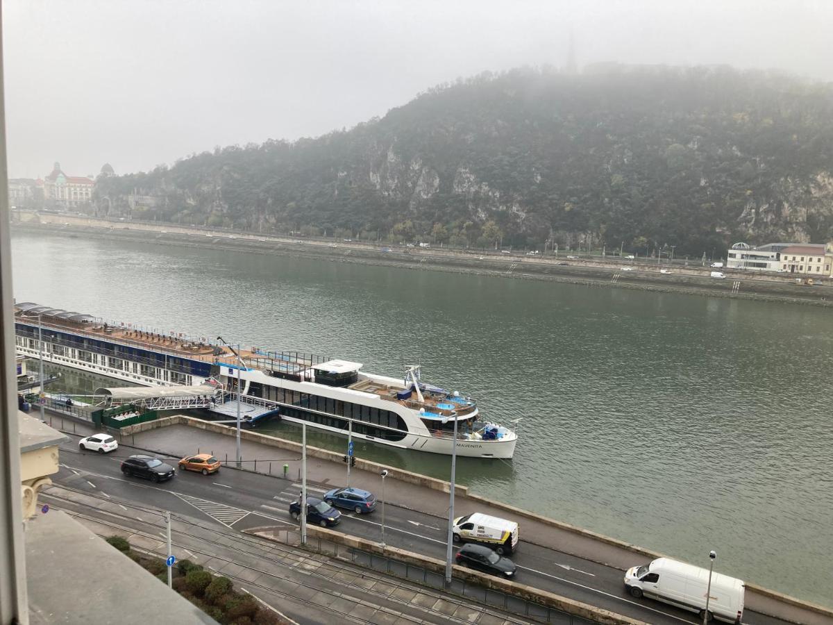 Danube View *